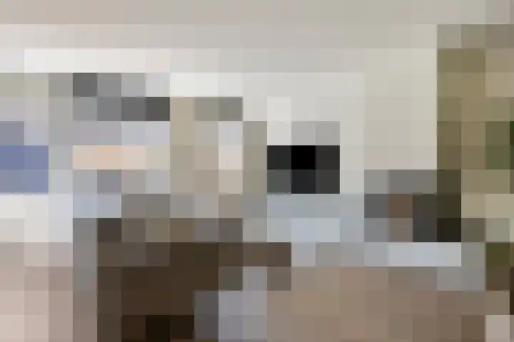 Oosthaag 63 Oss thumbnail 33