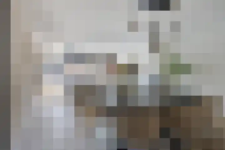 Oosthaag 63 Oss thumbnail 4