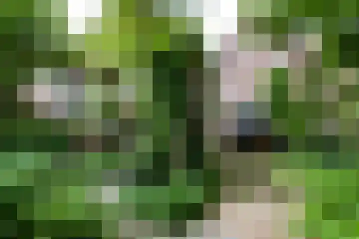Oosthaven 14 Gouda thumbnail 100