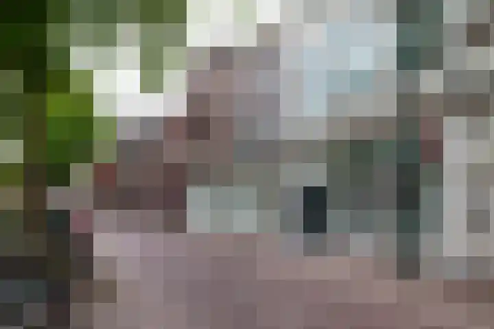Oosthaven 14 Gouda thumbnail 106