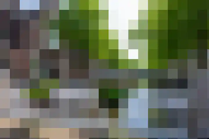 Oosthaven 14 Gouda thumbnail 107