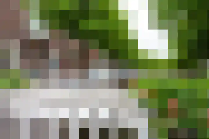 Oosthaven 14 Gouda thumbnail 108