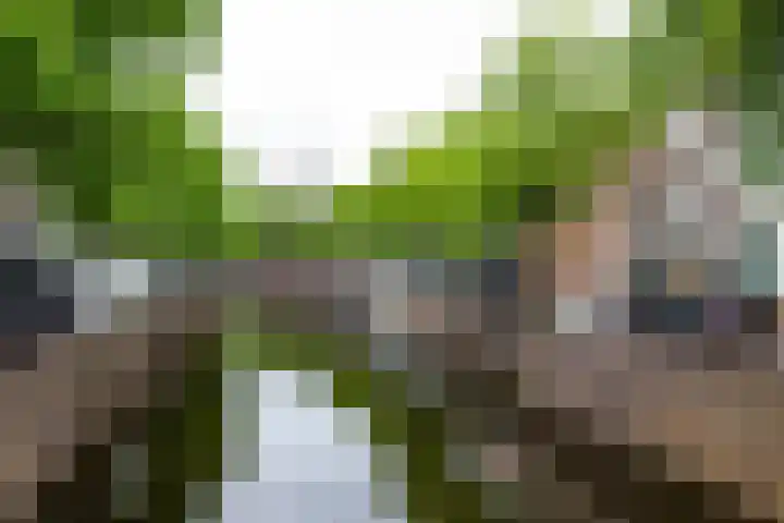 Oosthaven 14 Gouda thumbnail 110