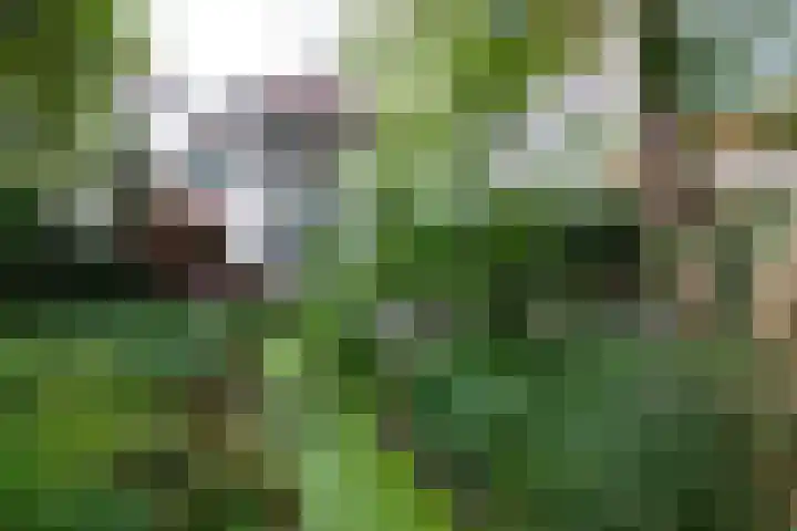 Oosthaven 14 Gouda thumbnail 116