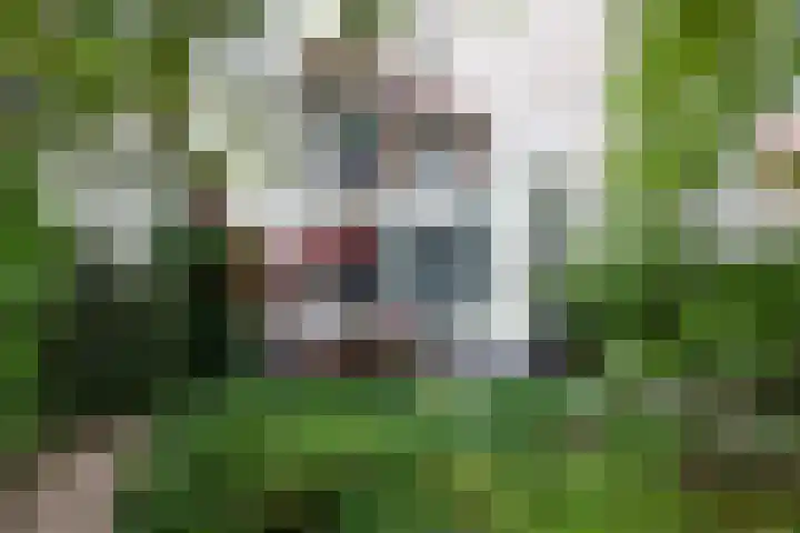 Oosthaven 14 Gouda thumbnail 44