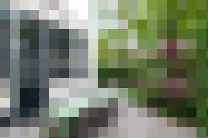 Oosthaven 14 Gouda thumbnail 46