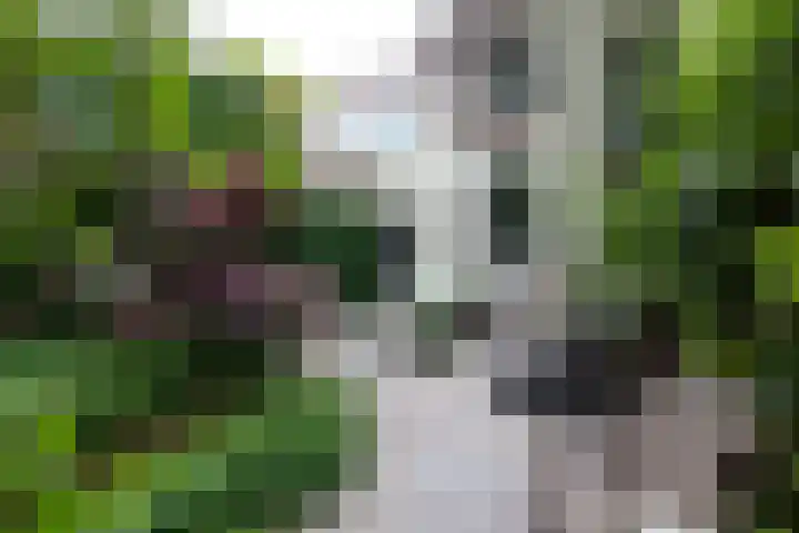 Oosthaven 14 Gouda thumbnail 47