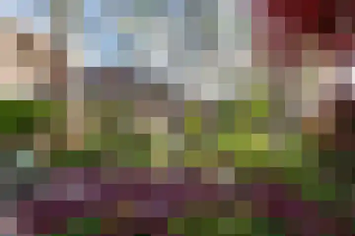 Oosthaven 14 Gouda thumbnail 49