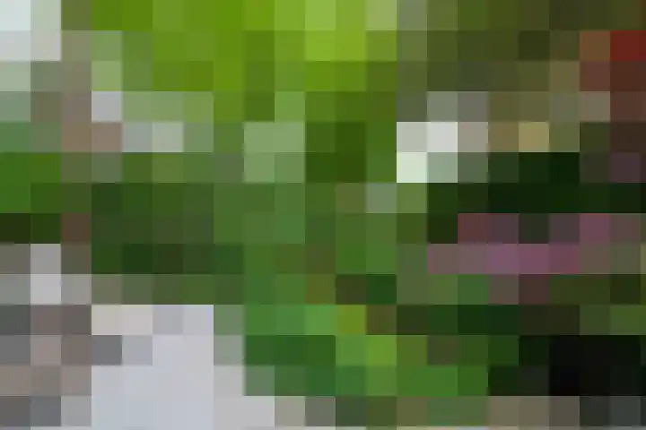 Oosthaven 14 Gouda thumbnail 52