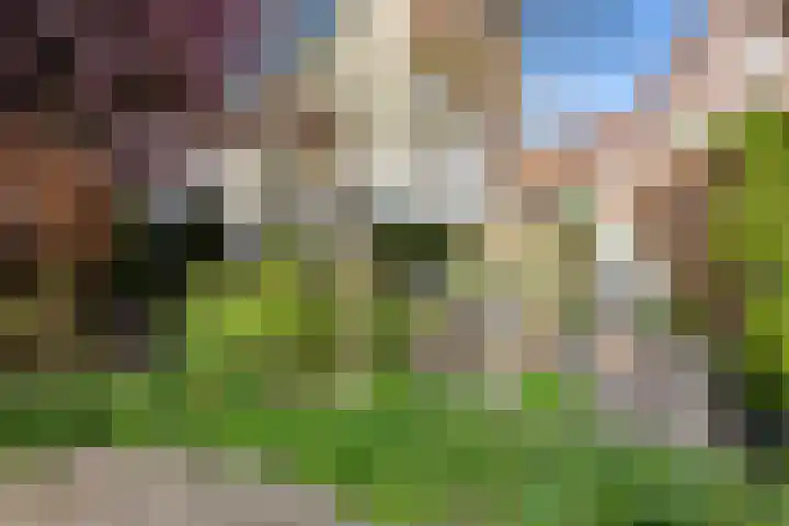Oosthaven 14 Gouda thumbnail 53
