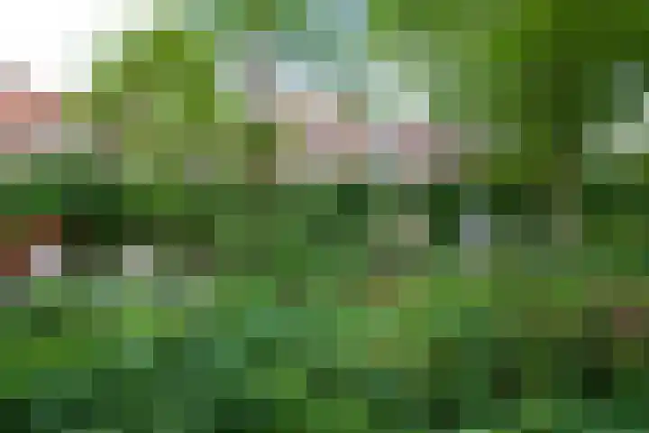 Oosthaven 14 Gouda thumbnail 54