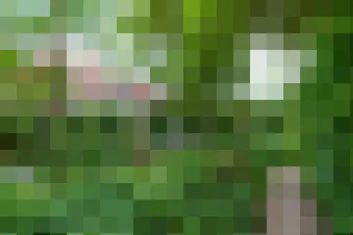 Oosthaven 14 Gouda thumbnail 55