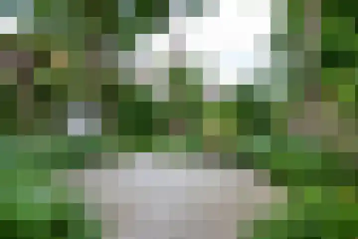 Oosthaven 14 Gouda thumbnail 58