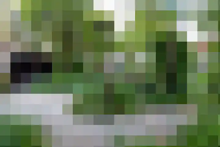 Oosthaven 14 Gouda thumbnail 59