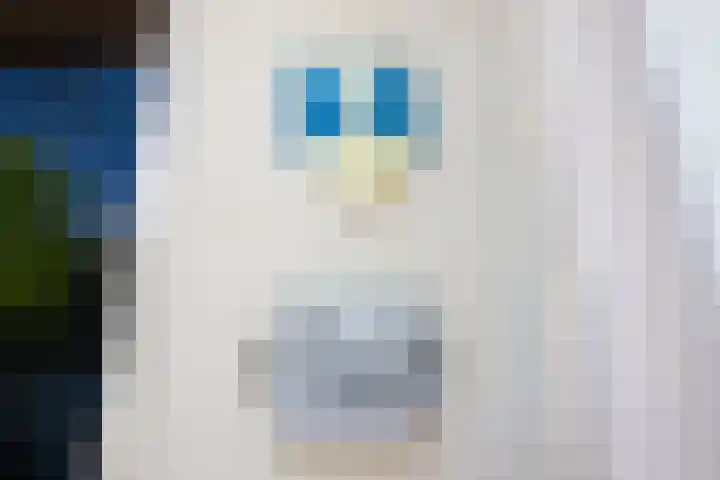 Oosthaven 14 Gouda thumbnail 6