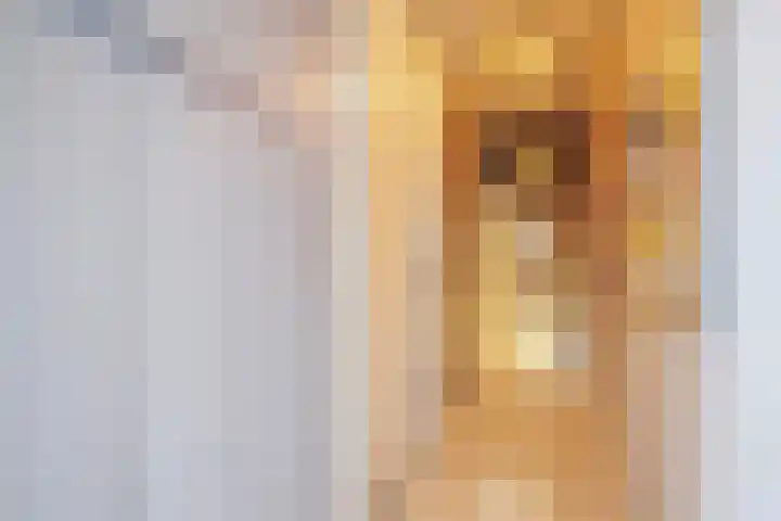 Oosthaven 14 Gouda thumbnail 72