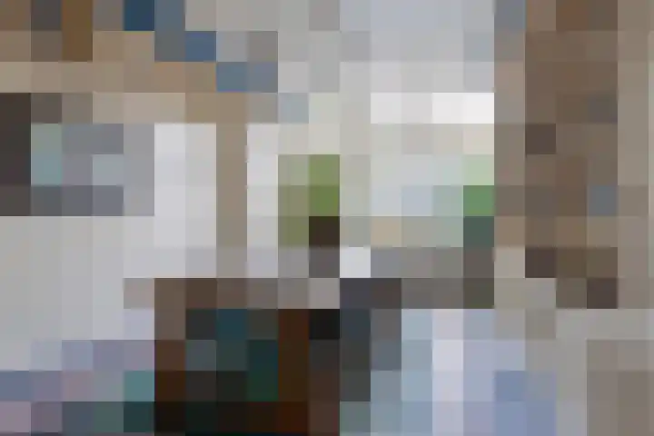 Oosthaven 14 Gouda thumbnail 8