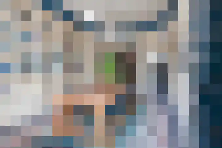 Oosthaven 14 Gouda thumbnail 9