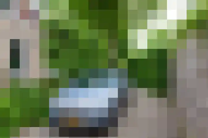 Oosthaven 14 Gouda thumbnail 98