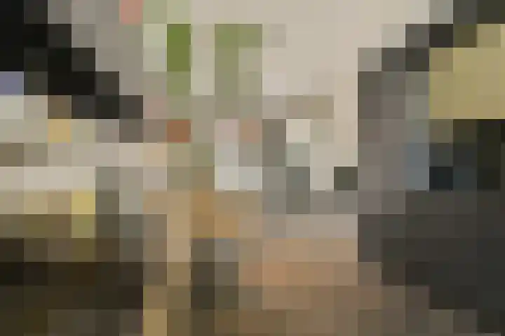 Oosthaven 53 Gouda thumbnail 12