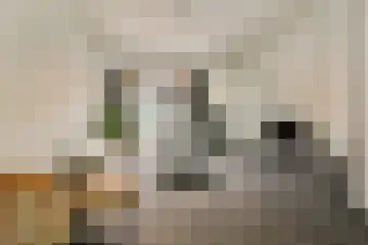 Oosthaven 53 Gouda thumbnail 14