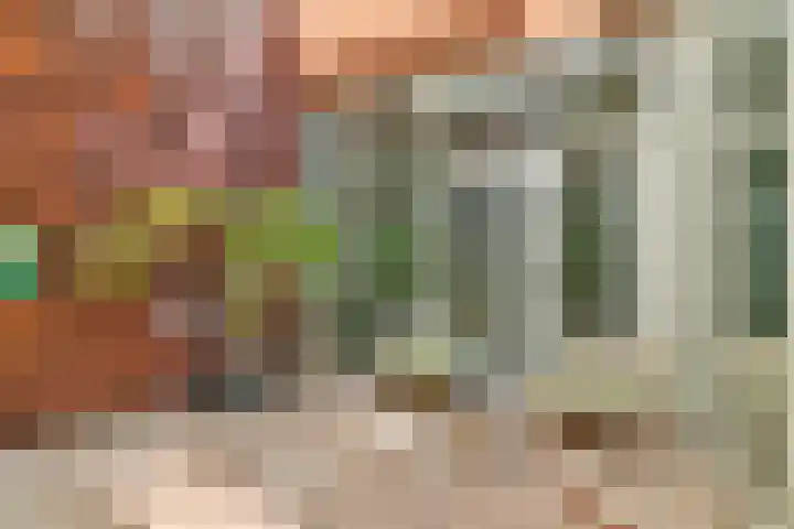 Oosthaven 53 Gouda thumbnail 17