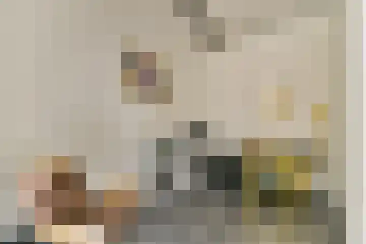 Oosthaven 53 Gouda thumbnail 18