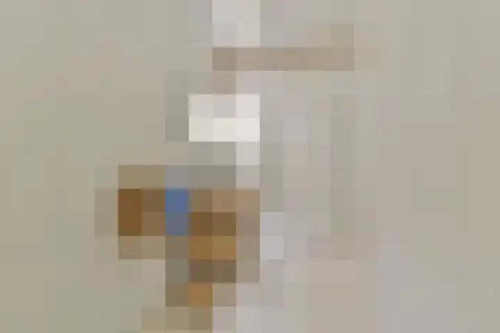 Oosthaven 53 Gouda thumbnail 21