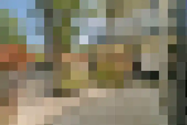 Oosthaven 53 Gouda thumbnail 28