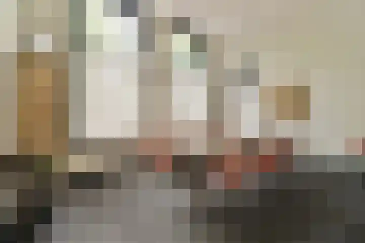 Oosthaven 53 Gouda thumbnail 7