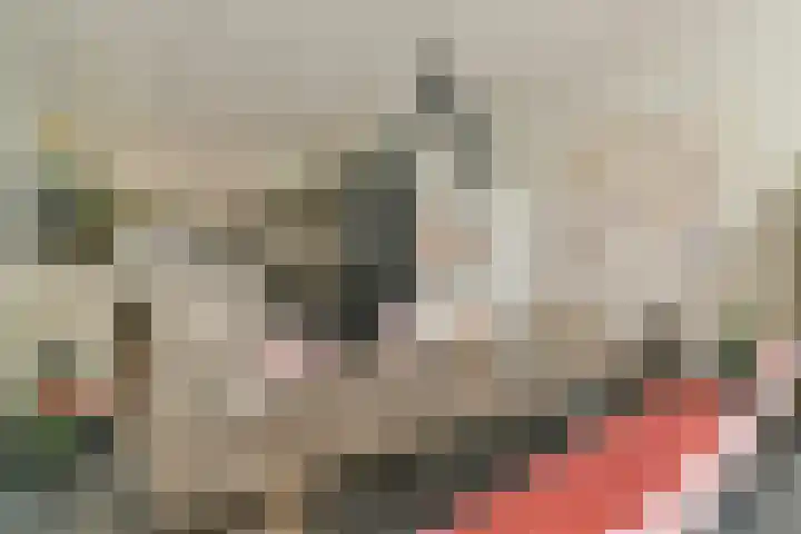 Oosthaven 53 Gouda thumbnail 9
