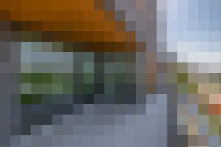 Oosthavendijk 116 Middelharnis thumbnail 15