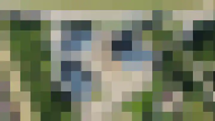 Oosthavendijk 120 Middelharnis thumbnail 6