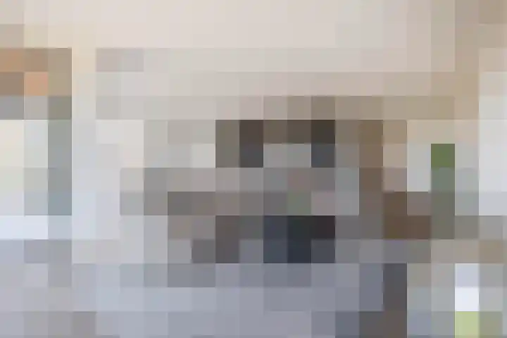 Oosthavendijk 120 Middelharnis thumbnail 8