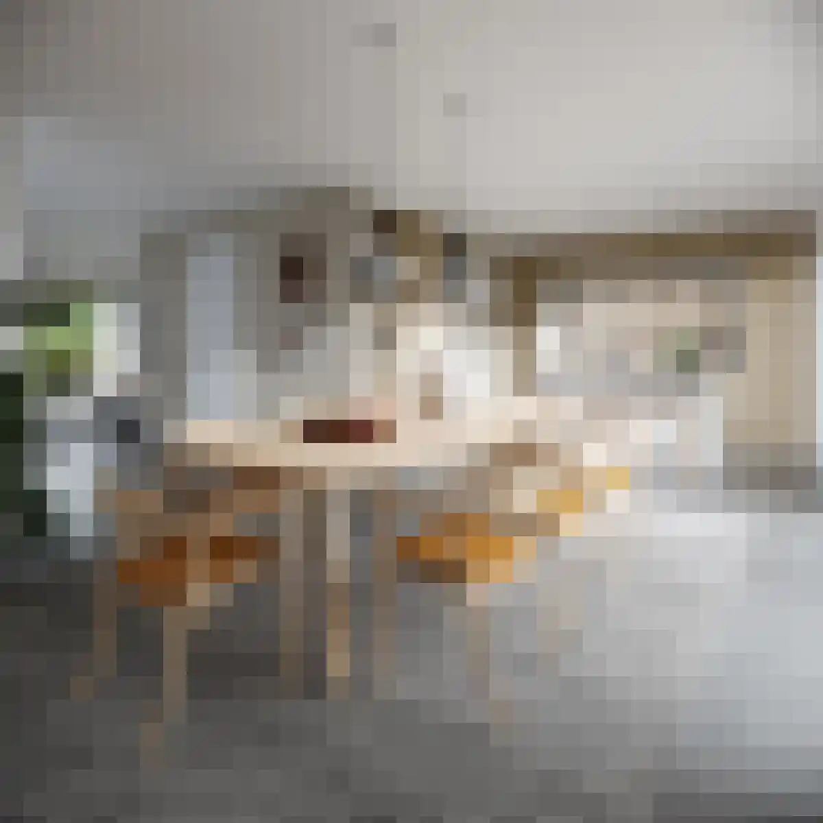 Oosthavendijk 32 Middelharnis thumbnail 5