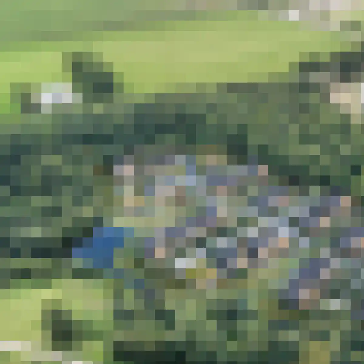 Oosthavendijk 48 Middelharnis thumbnail 4