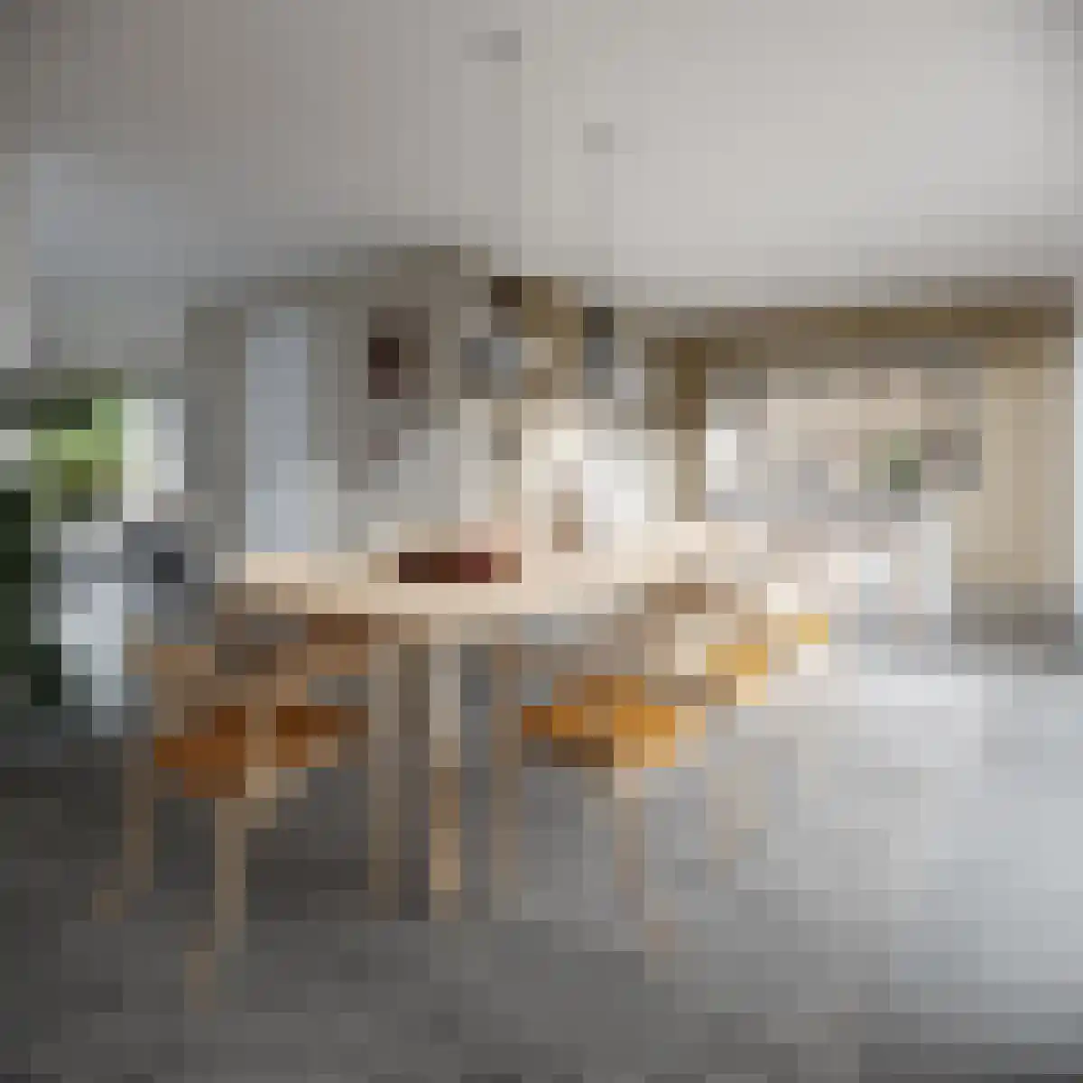 Oosthavendijk 48 Middelharnis thumbnail 5