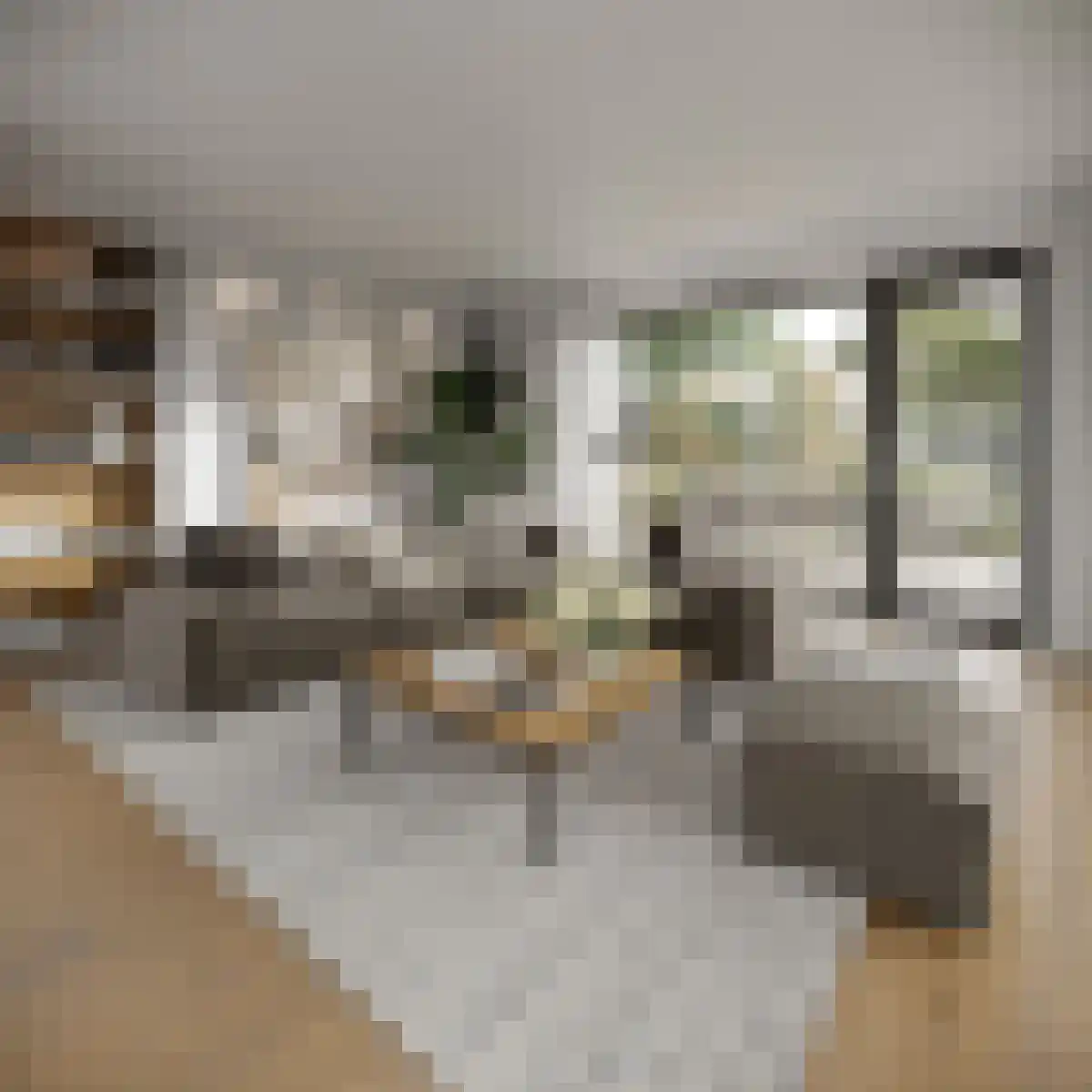 Oosthavendijk 48 Middelharnis thumbnail 6