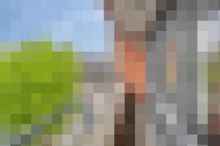 Oostlaan 132 Pijnacker thumbnail 17