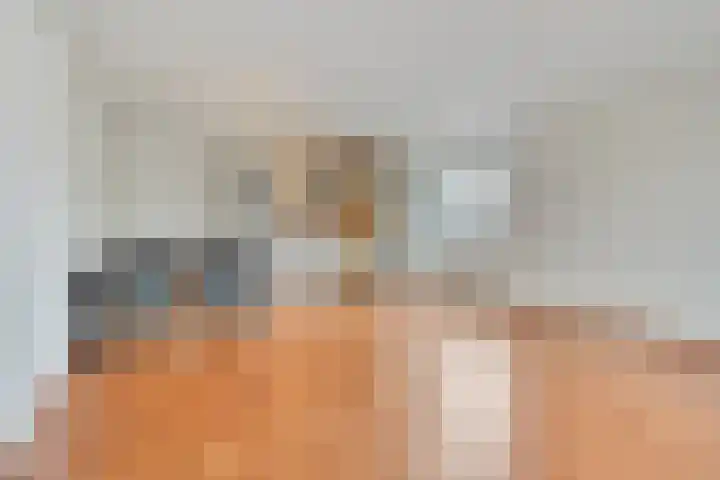 Oostlaan 132 Pijnacker thumbnail 4