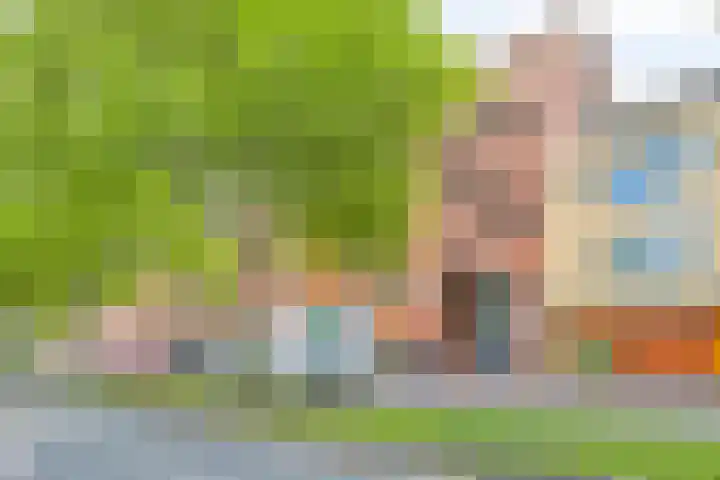 Oostlaan 132 Pijnacker thumbnail 6