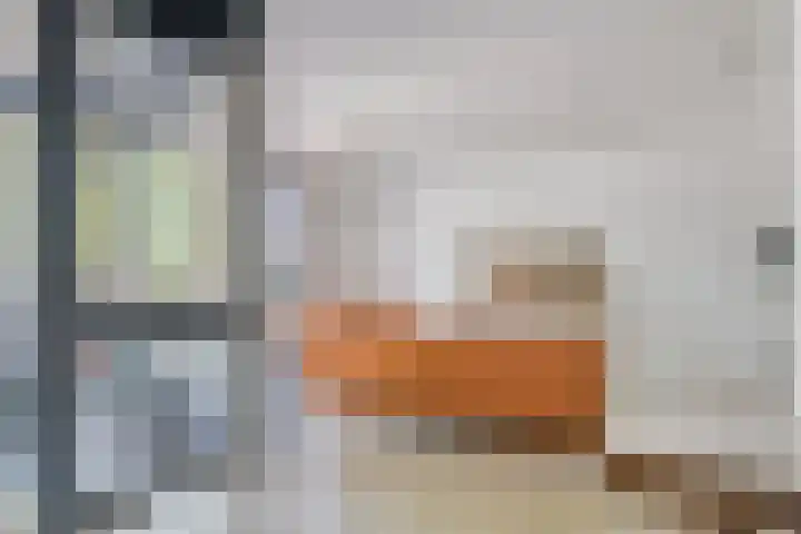 Oostlaan 145 Pijnacker thumbnail 18
