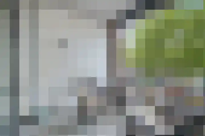 Oostlaan 145 Pijnacker thumbnail 20