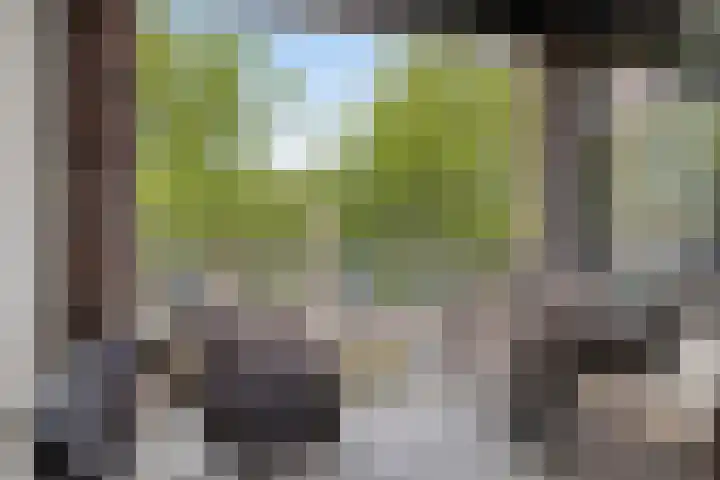 Oostlaan 145 Pijnacker thumbnail 21