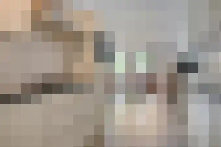 Oostlaan 145 Pijnacker thumbnail 23