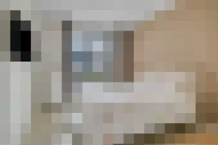 Oostlaan 145 Pijnacker thumbnail 24