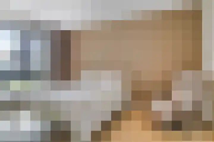 Oostlaan 145 Pijnacker thumbnail 25
