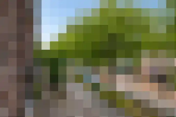Oostlaan 145 Pijnacker thumbnail 29