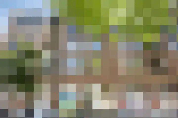 Oostlaan 145 Pijnacker thumbnail 7
