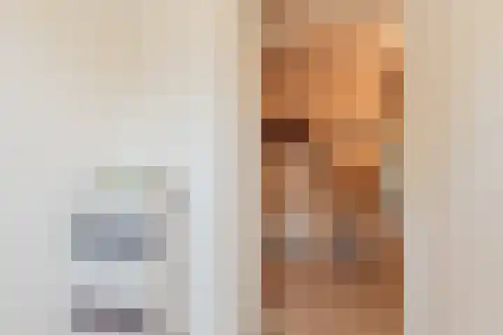Oostlaan 67 Pijnacker thumbnail 13